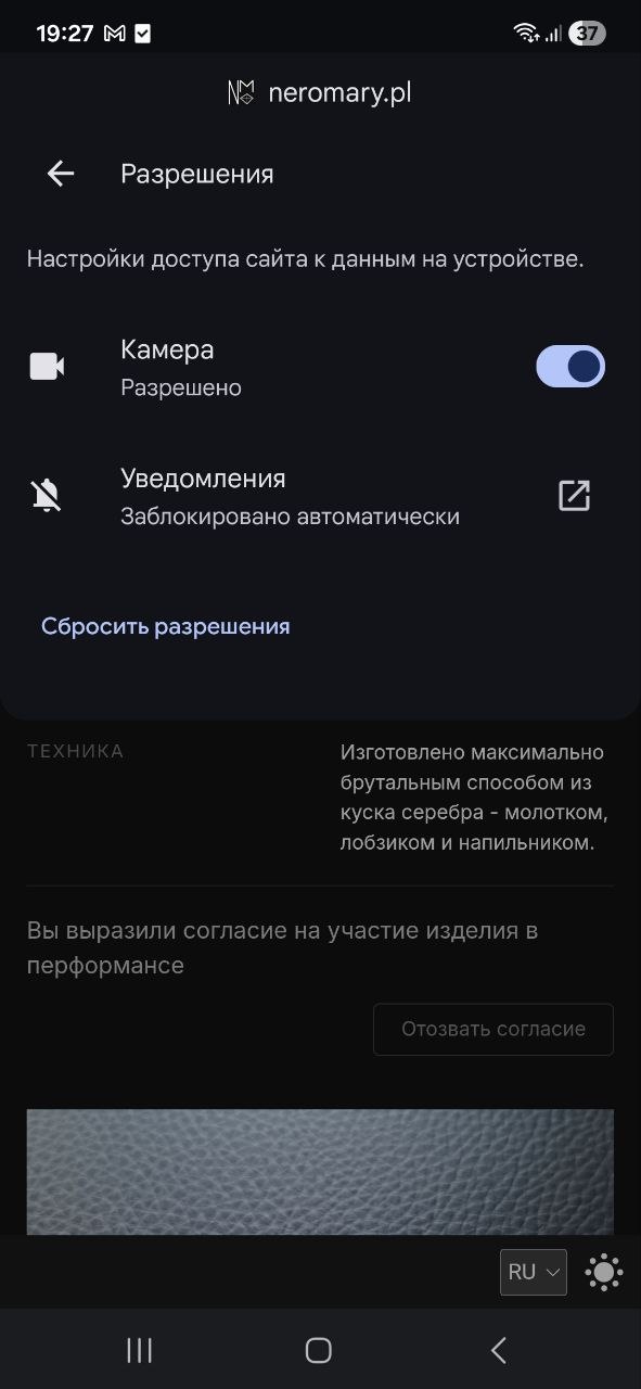 Site settings in Chrome: camera and notifications, with a 'Reset permissions' button