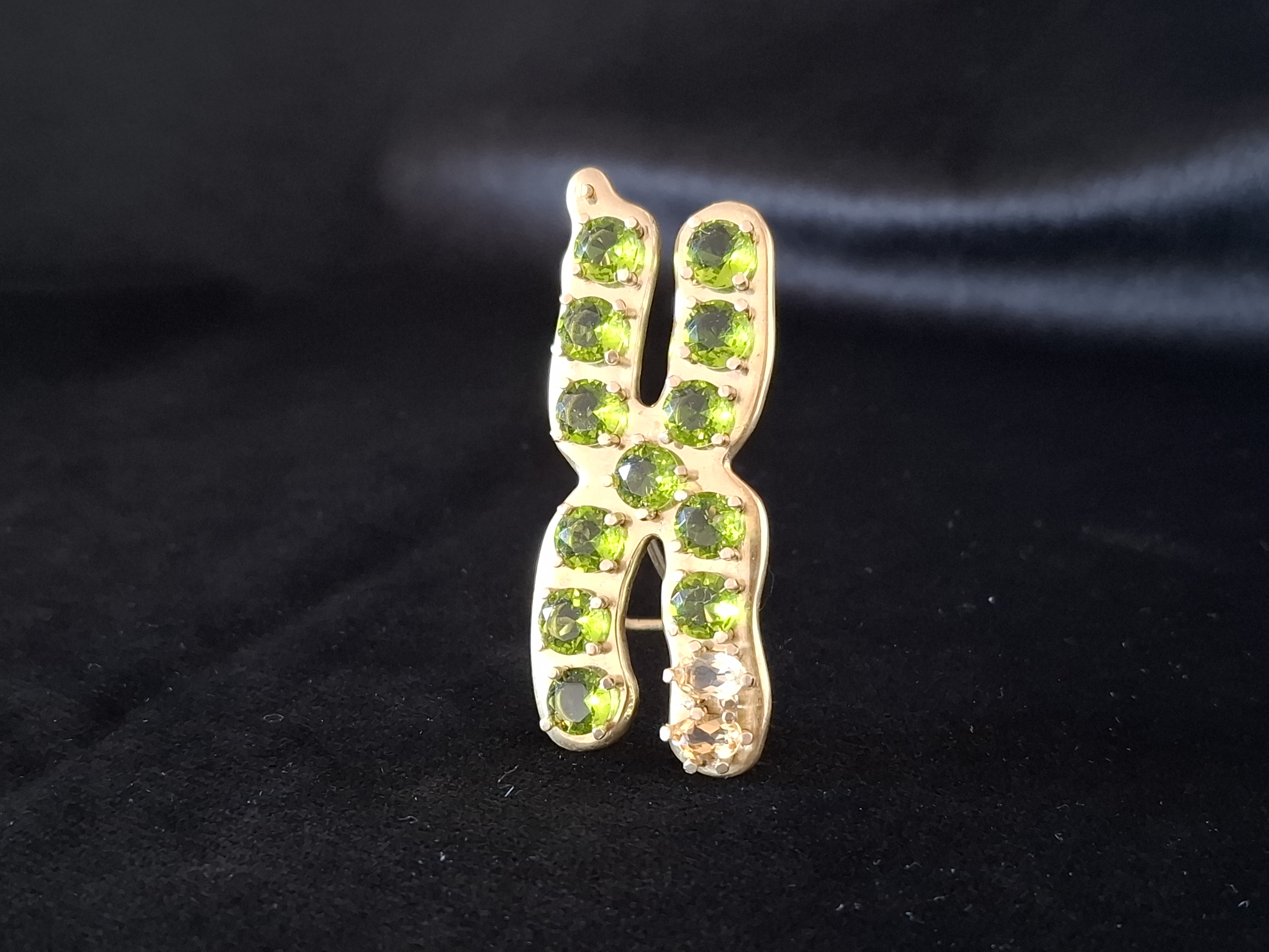 XIC - The Conductor of the X Chromosome